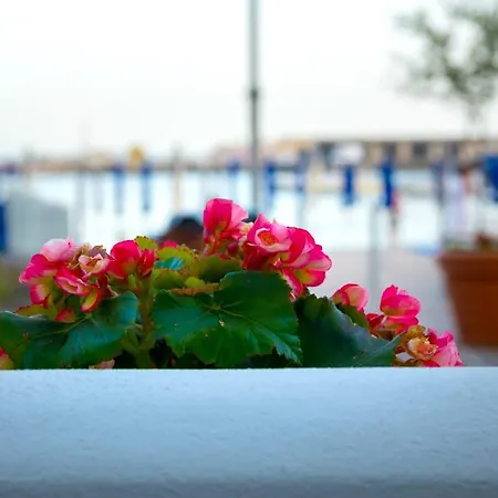 Marinella